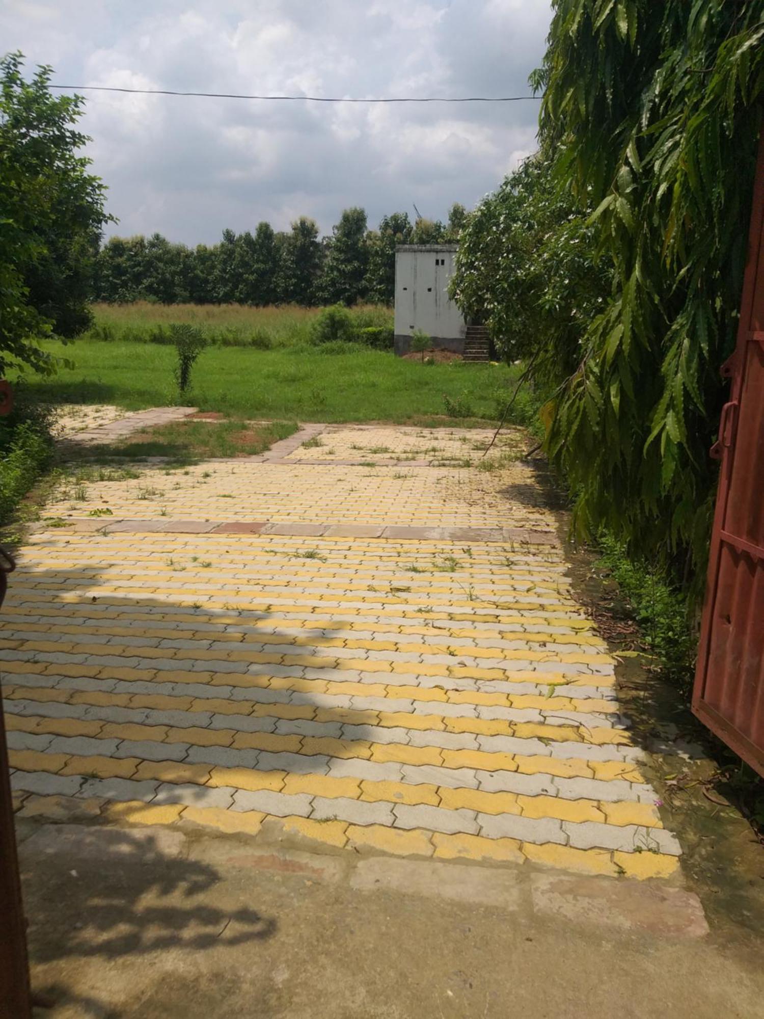 Nature Homestay Bénarès Extérieur photo